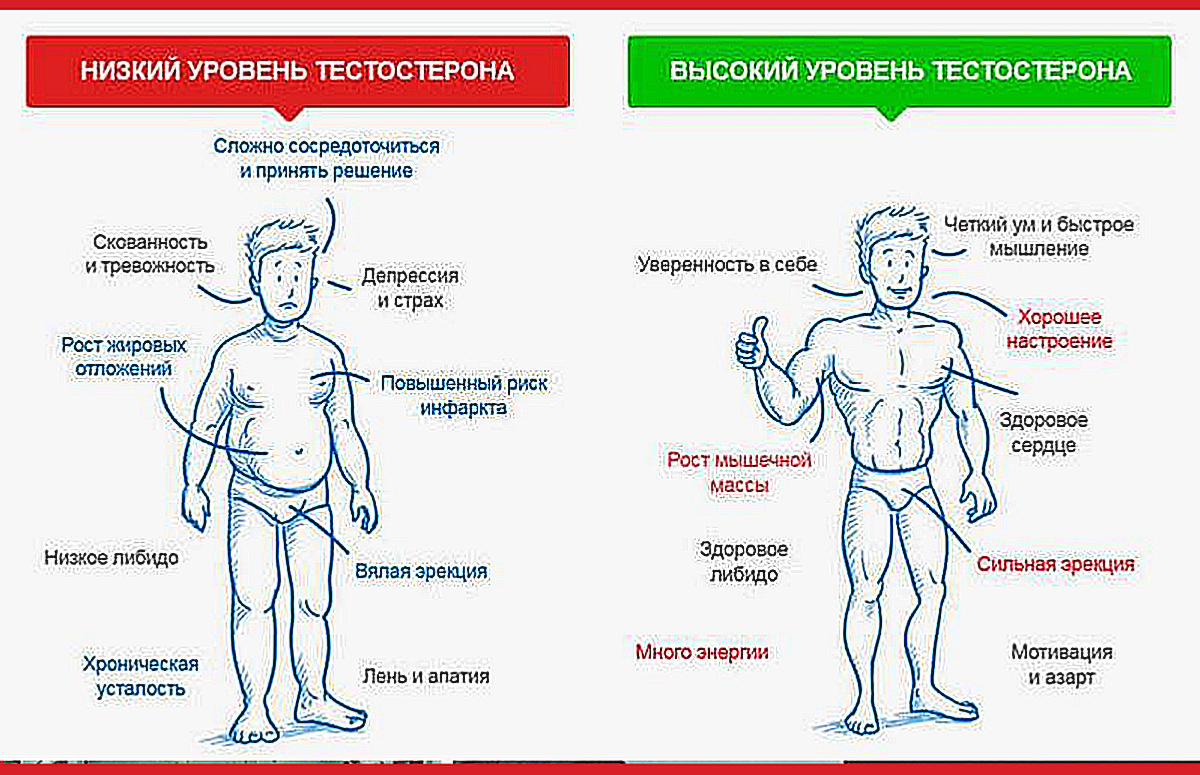 тестостерон грудь женщины фото 19