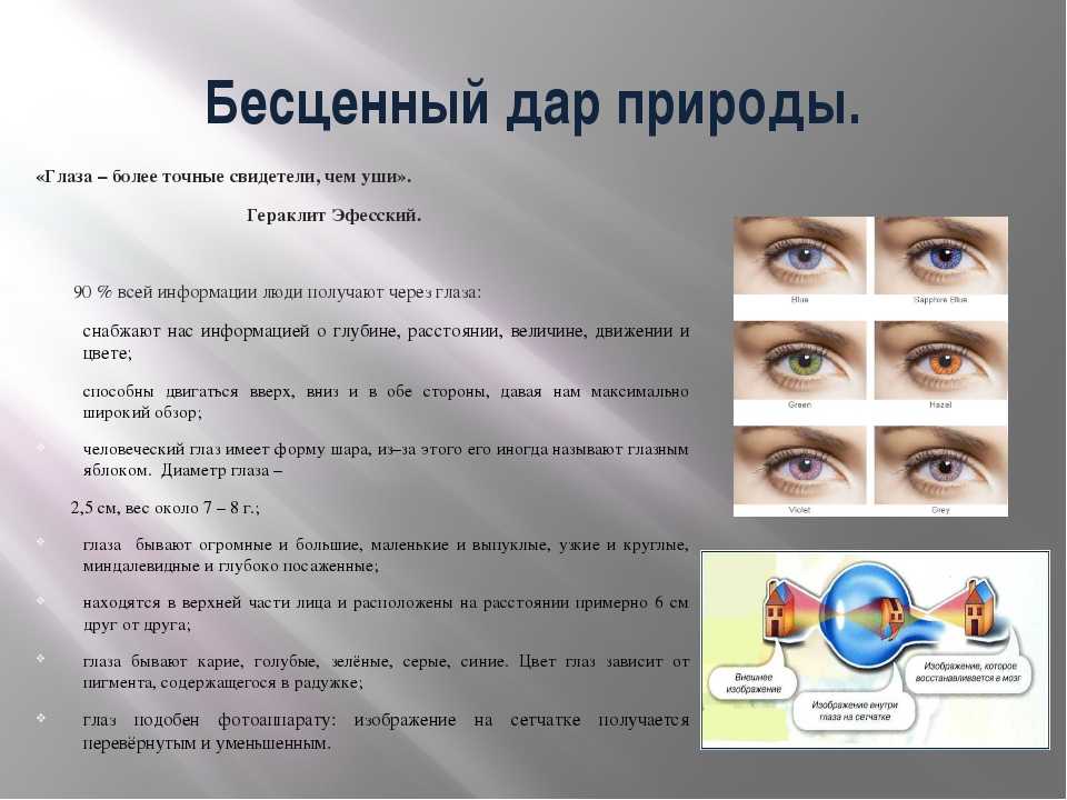 Тест по теме органы зрения. Интересные сведения о глазе. Интересные темы о глазах. Зрение человека. Интересные факты о глазах.