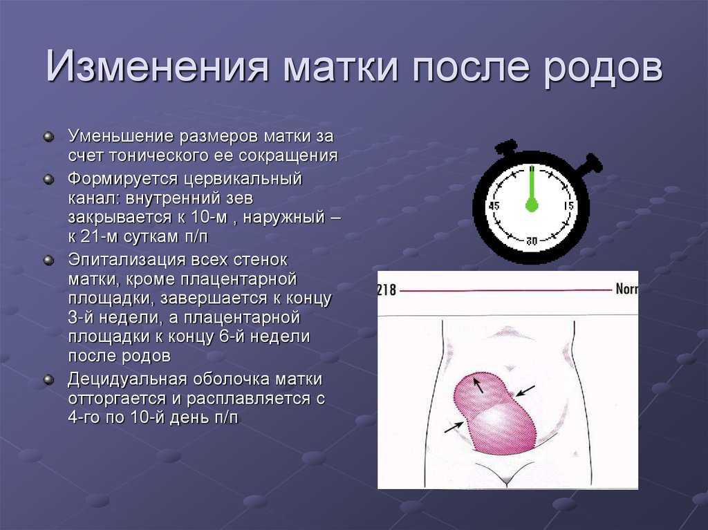 Физиология женского организма в разные периоды жизни: половая зрелость, предменопауза - women first