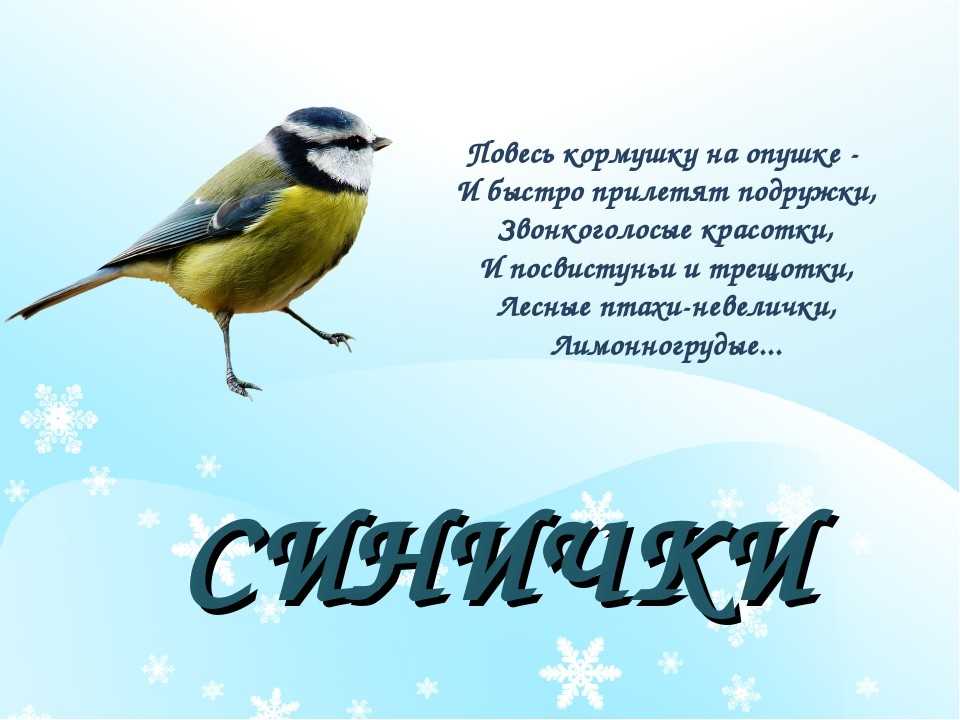Стихи снегирь | morestihov.ru