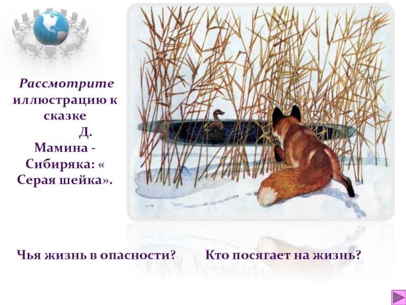 Серая шейка