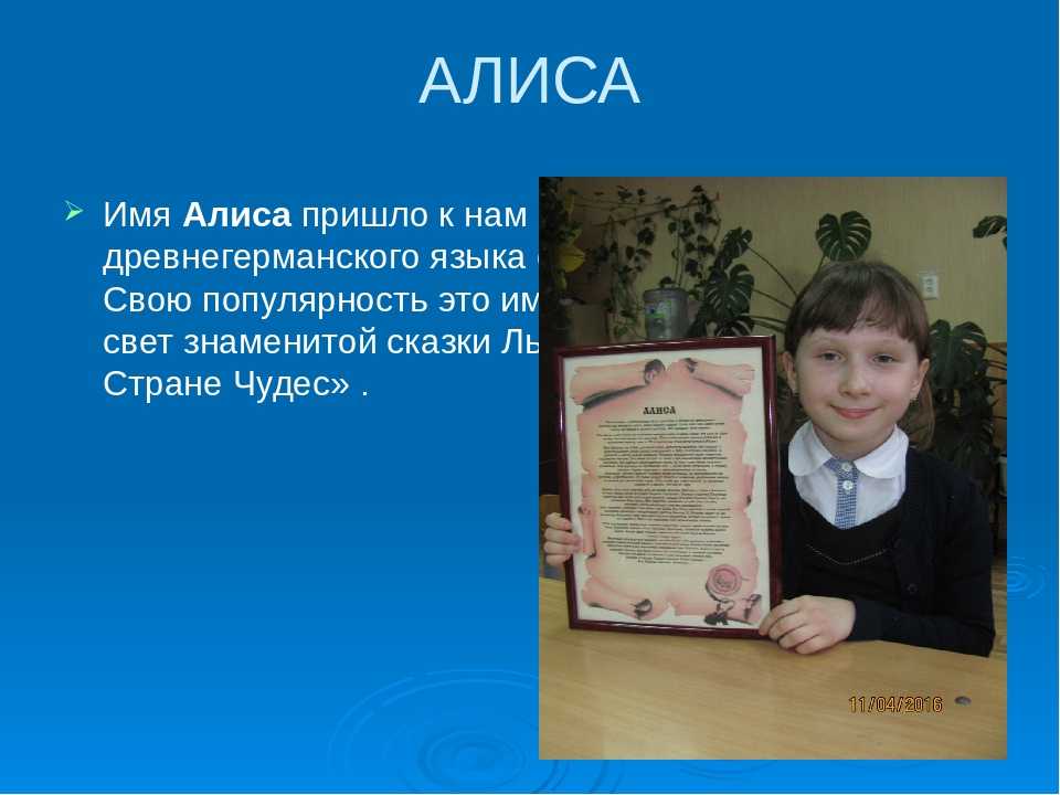 Проект мое имя алиса