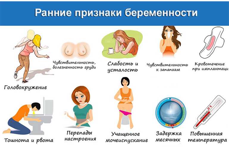 Первые признаки беременности по груди — как определить беременность по груди — центр гинекологии и акушерства
