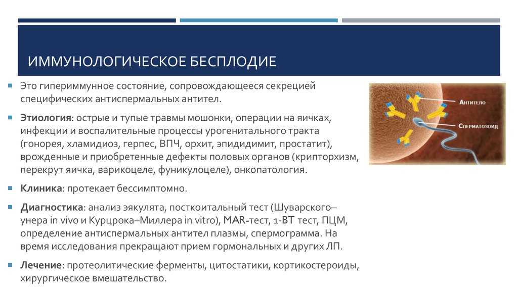 Сделать узи мониторинг овуляции (фолликулометрия) в москве - цена, записаться на процедуру в клинику он клиник
