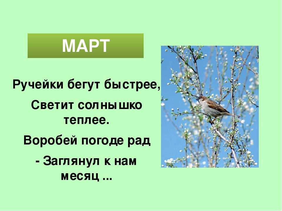 Загадки для детей - с ответами