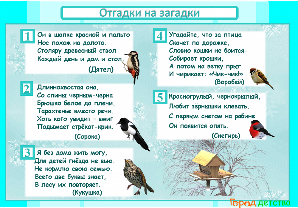 Загадки про птиц для детей - 130 крылатых загадок