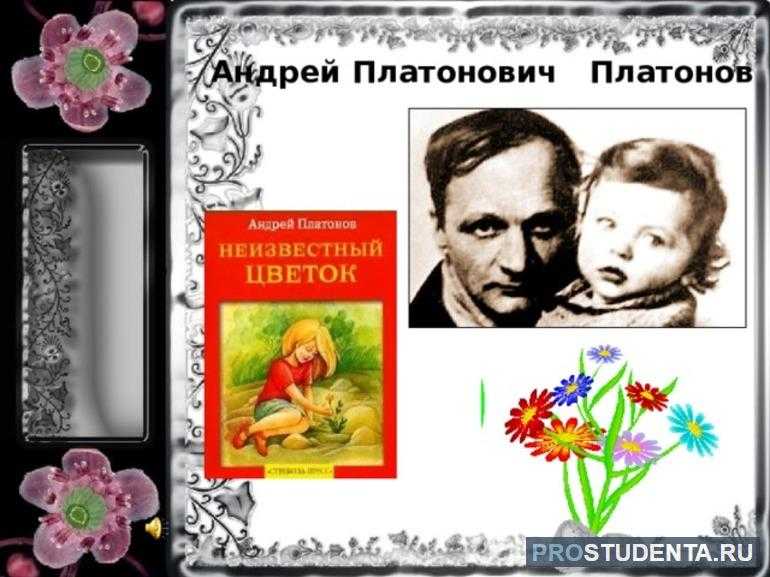 Платонов. неизвестный цветок