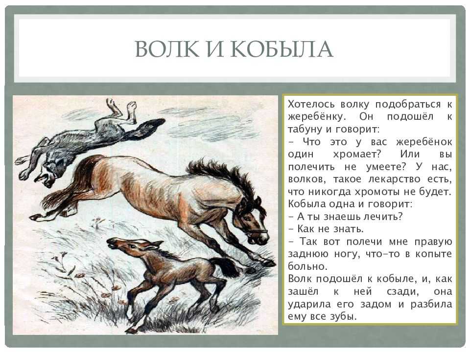 Якутская сказка волк и лошадь