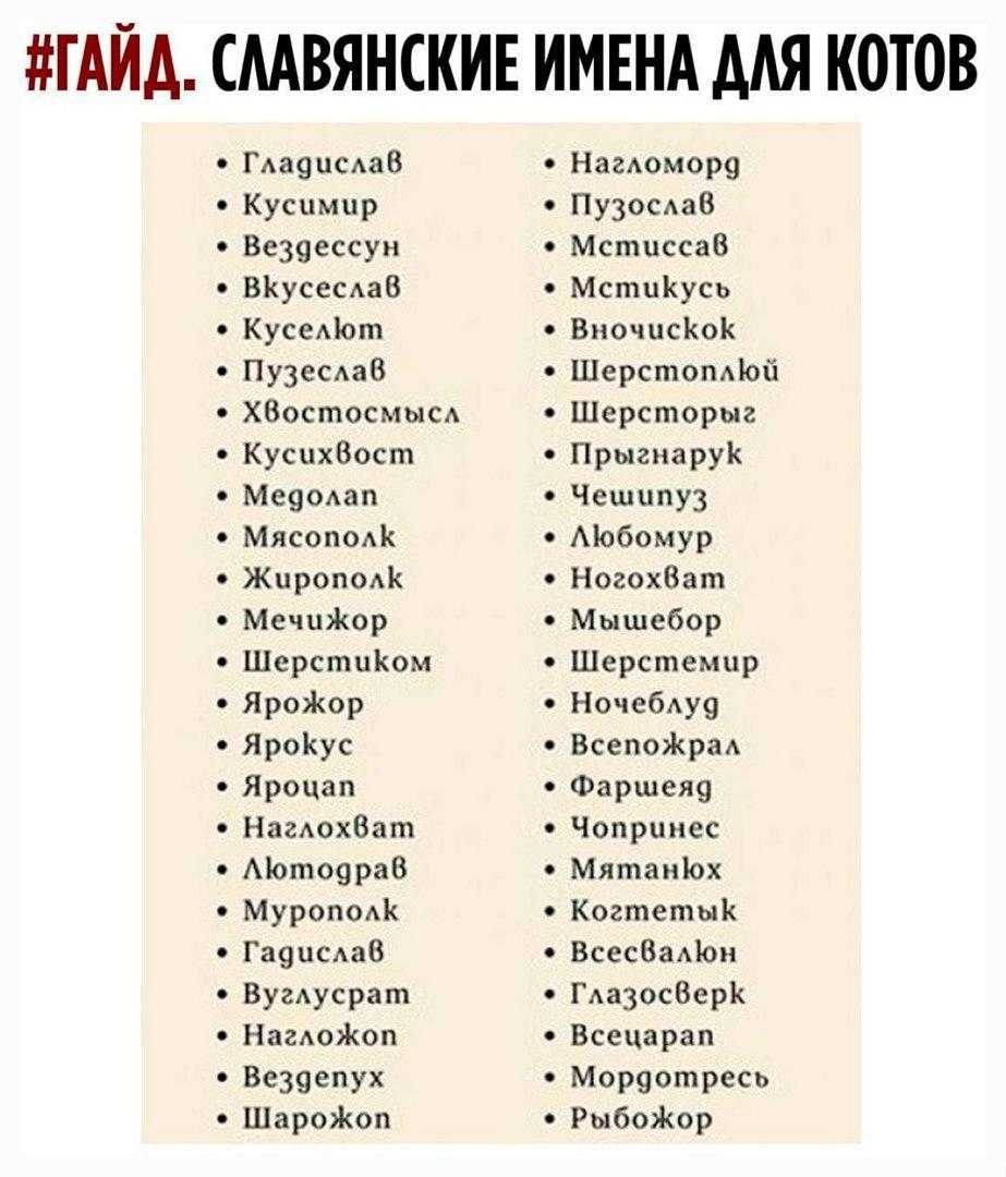 Красивые славянские имена для девочек и их значение. редкие и забытые варианты