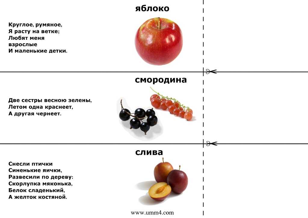 Загадки для 1 класса с ответами с картинками