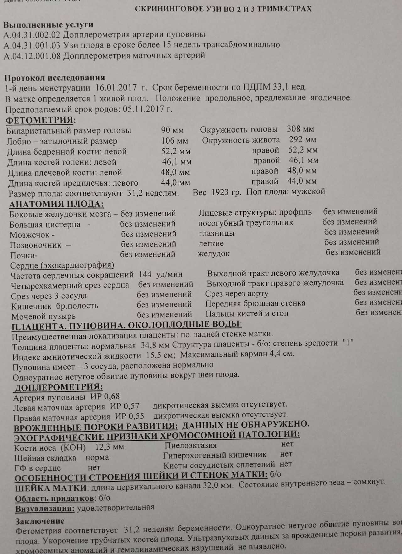 Изменения в женском организме во время беременности