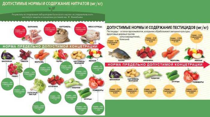 Фитоэстрогены для женщин: что важно знать