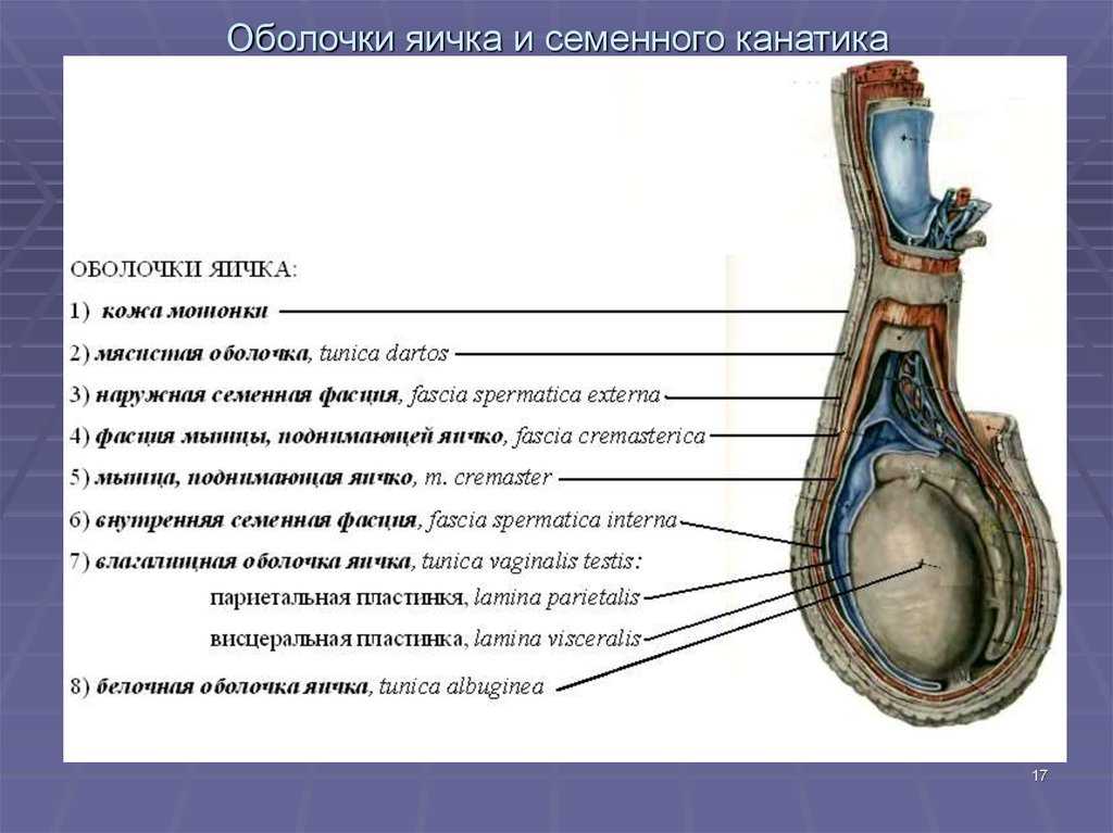 Эмоциональное истощение: симптомы и топ-4 причины. рассказывает психотерапевт | клиника доктора шурова | дзен