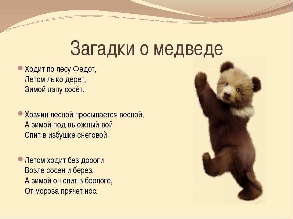 Пословицы и поговорки про медведя » текст, видео, картинки