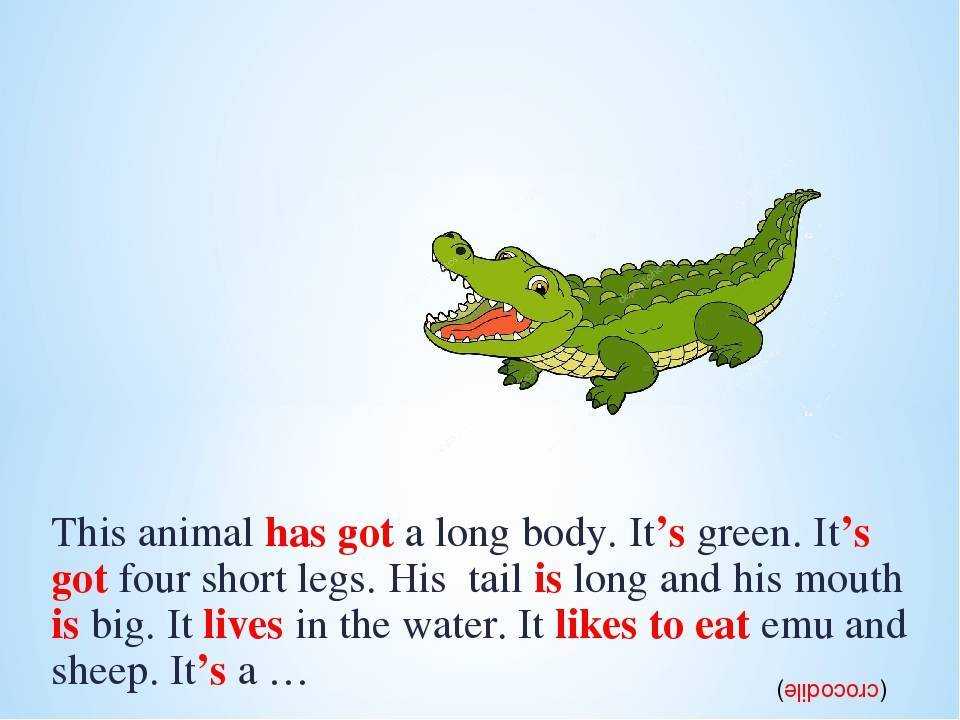 Mummy has got green. Описание животного на английском. Загадки проживотных на англ. Крокодил на английском. Загадки по английскому языку.