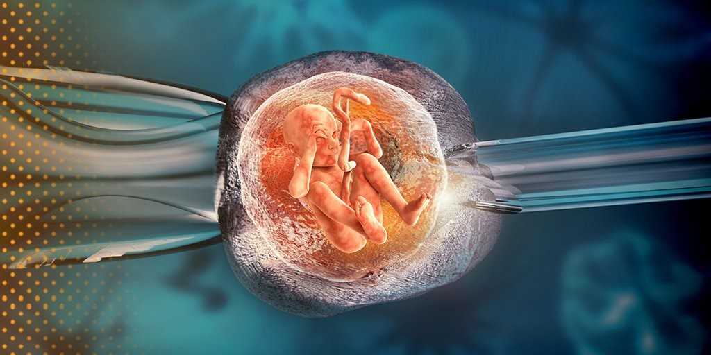 Día 7 post transferencia embrionaria