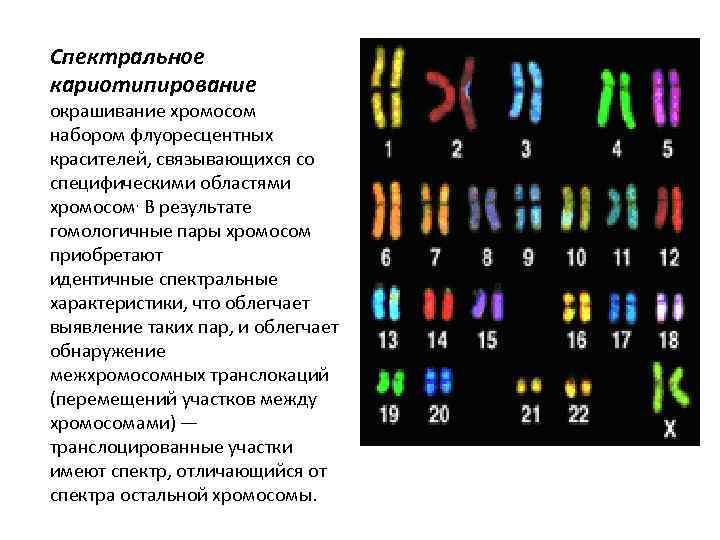 Моносомия хромосомы х: что это такое, возможно ли лечение отклонения и беременность при таком диагнозе