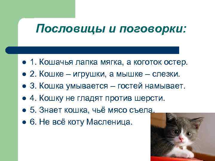 Поговорки про кошек. Пословицы о кошках.