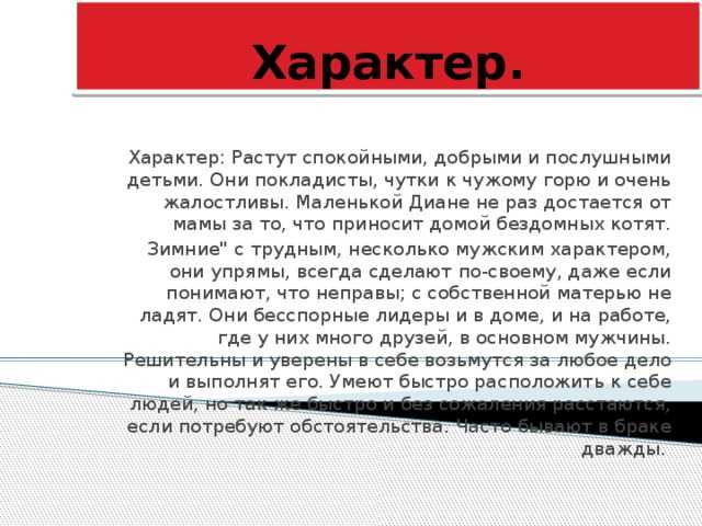 Вячеслав: значение имени, происхождение, судьба, тайна, характер