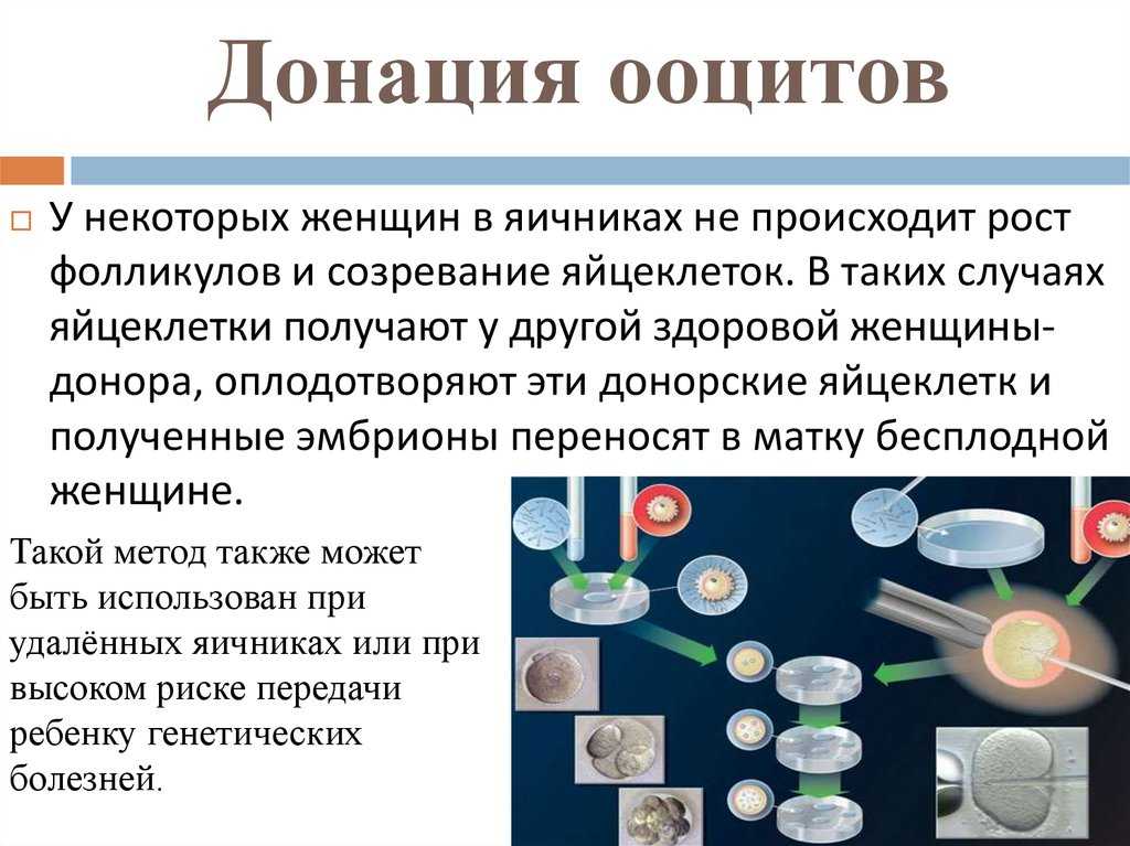 Процедура эко от начала до конца по времени, сколько стоит: основные этапы, как проводится | национальный центр репродукции «эко-содействие»