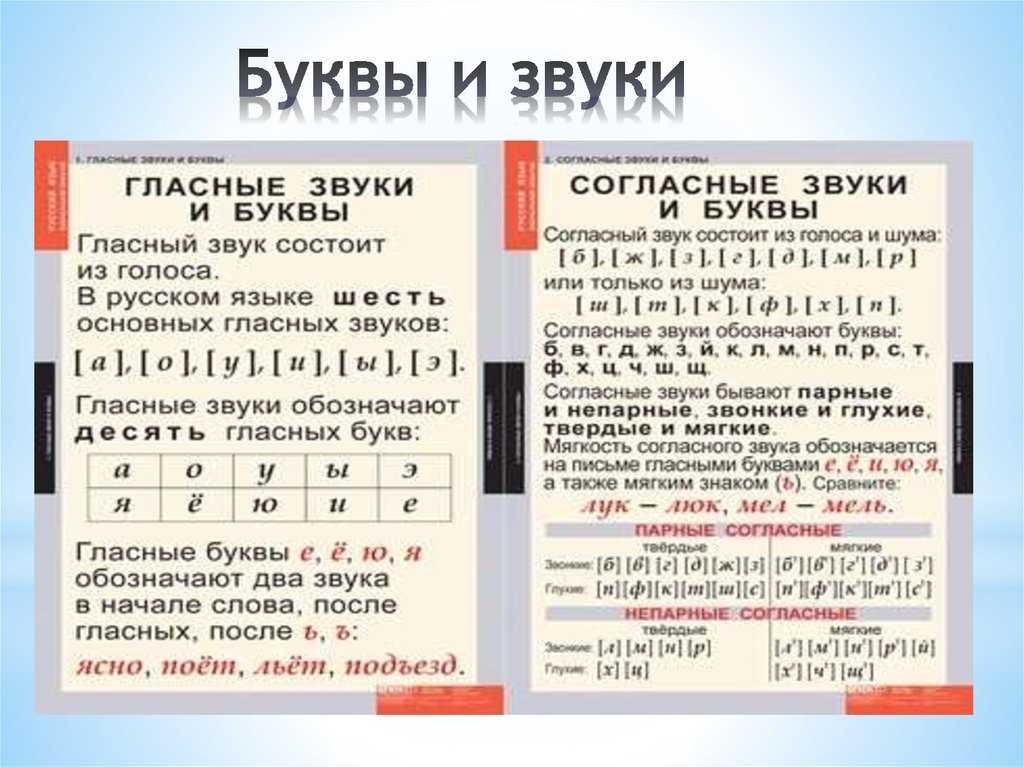 Звуки гласные и согласные 5 класс разумовская презентация