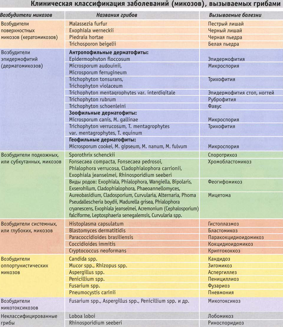 Клинические классификации заболеваний. Классификация микозов. Классификация митоза. Грибковые заболевания таблица. Название грибковых заболеваний.