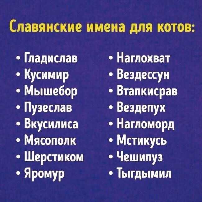 Мужские славянские имена и их значение