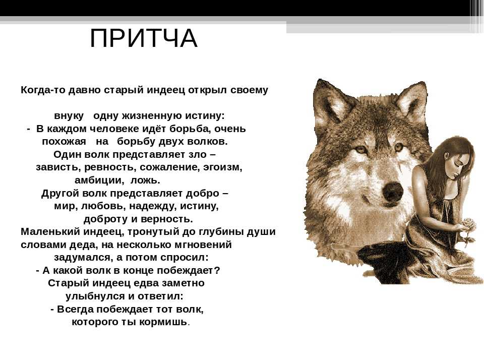 План рассказа бурый волк в сокращении