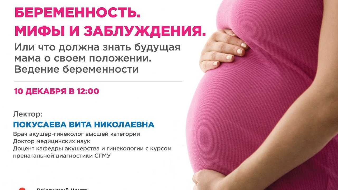 Узи 2 недели беременности: фото, что покажет исследование и можно ли увидеть эмбрион
