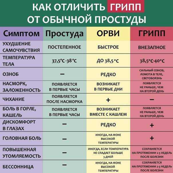 Загрязнение окружающей среды: виды, основные источники, последствия и методы решения проблемы