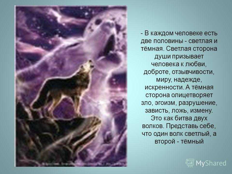 10 малоизвестных фактов о детях, рожденных в ноябре