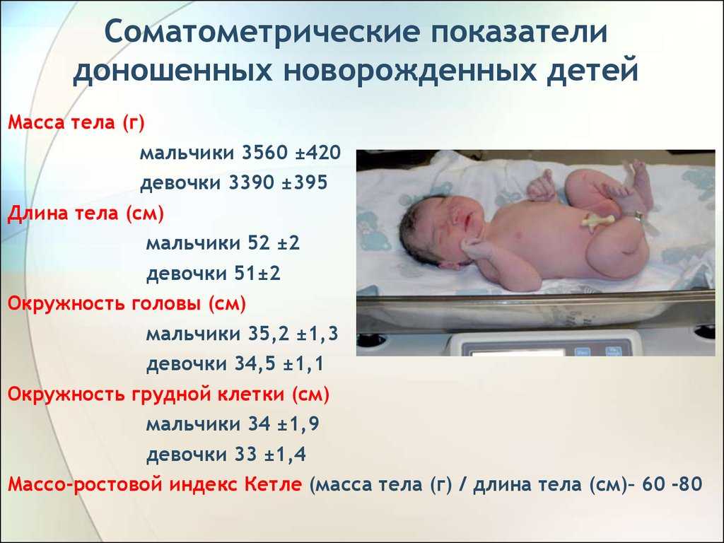 Стало известно, сколько детей в россии за год родили 12-летние девочки и сколько в стране 16-летних многодетных матерей