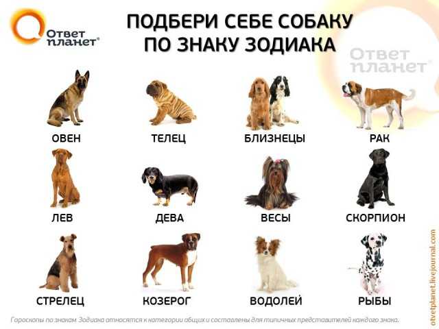 Имена, которыми нельзя называть детей