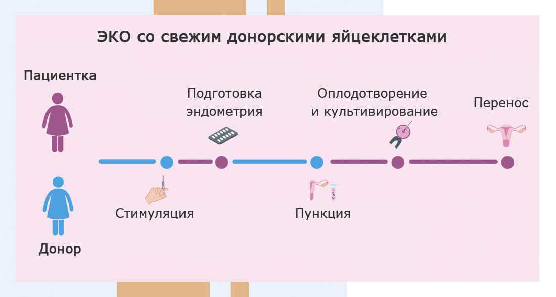 Найти донора яйцеклетки с фото