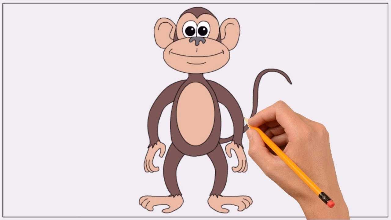 Обезьяна мультфильм рисунок иллюстрации, счастливый маленькая обезьяна, коричневый и бежевый обезьяна наклейка, комиксы, млекопитающее, кошка png