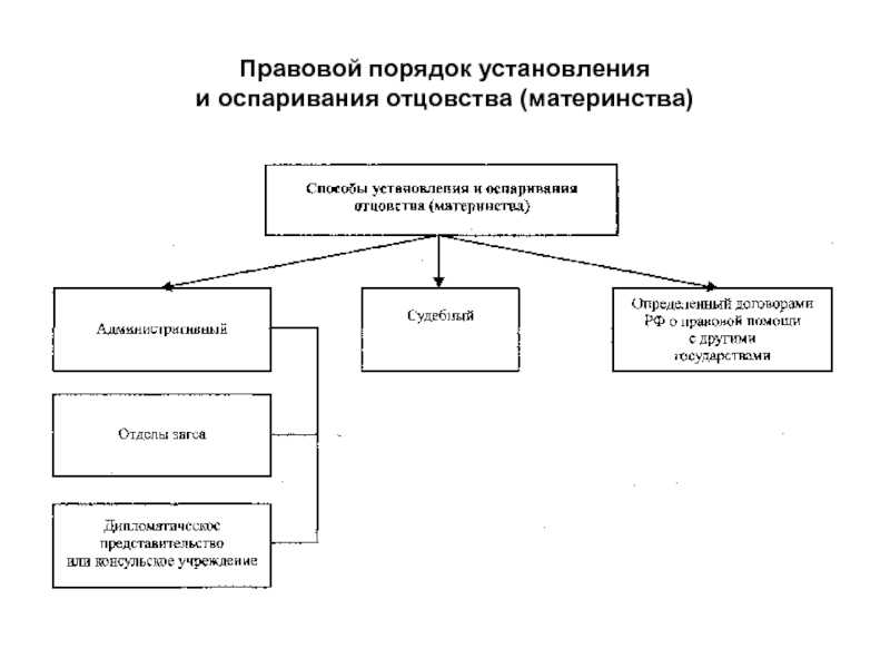 Установление отцовства лица не состоящего в браке с матерью ребенка схема