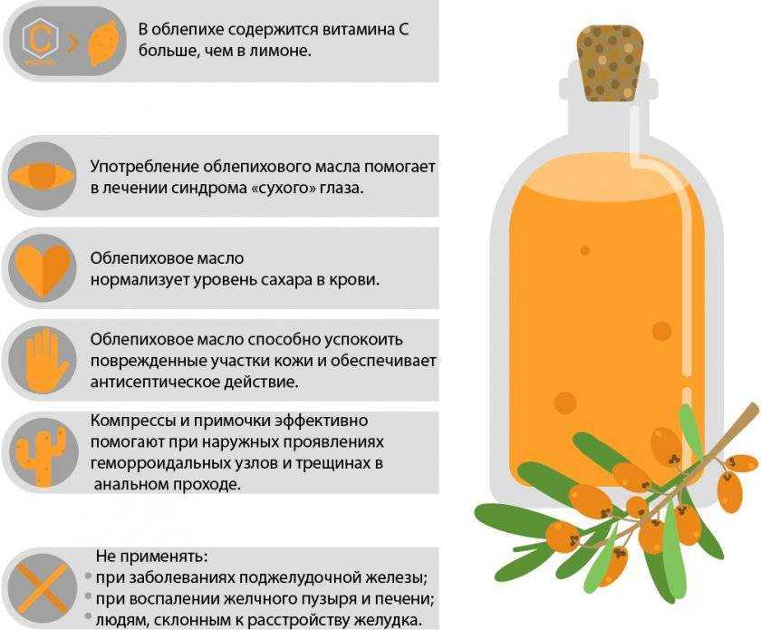 Облепиха: польза, вред и роль в организме | food and health