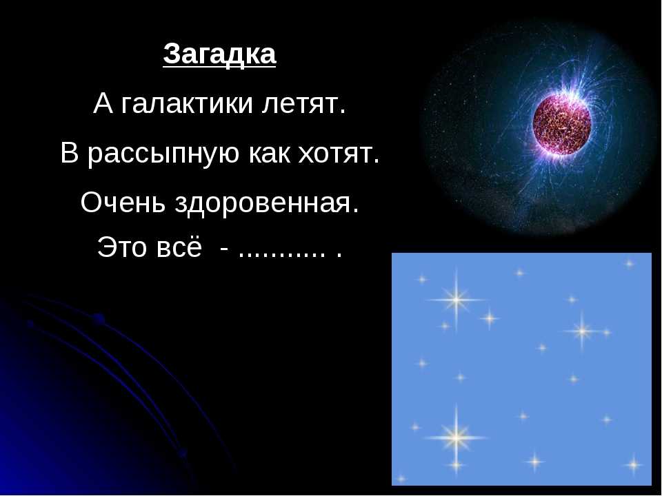 Загадки про животных с ответами для младших школьников