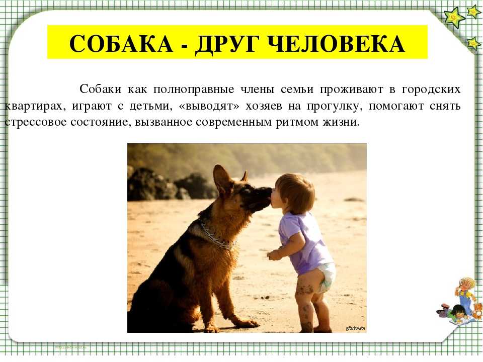 Месяц рождения указывает на вашу задачу в роду :: евgenия дневник