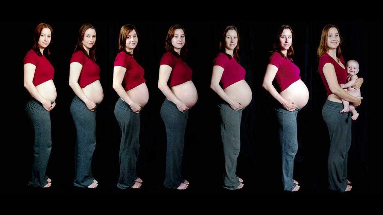 Все о первом триместре беременности с фото по неделям