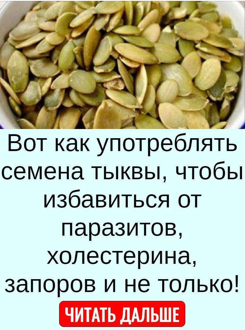 Польза и вред семечек при беременности. можно ли есть семечки при беременности на ранних и поздних сроках