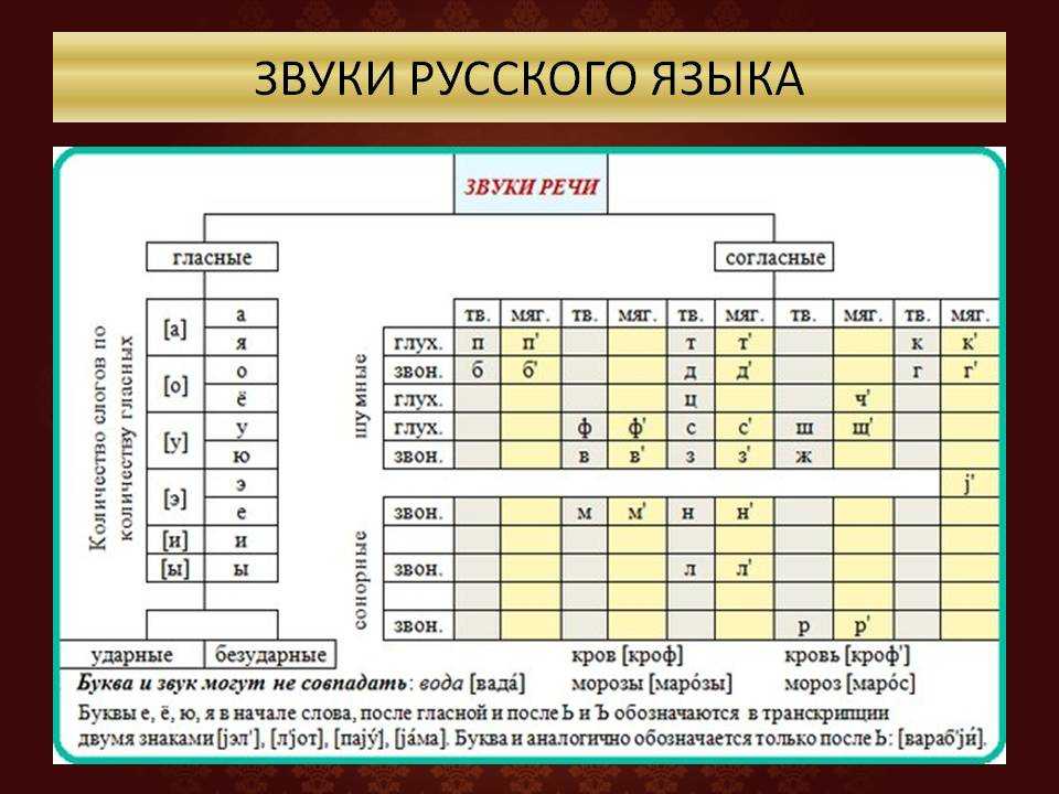 Твердые и мягкие согласные звуки 1 класс: таблица, правило. ребенок осваивает твердые и мягкие согласные звуки