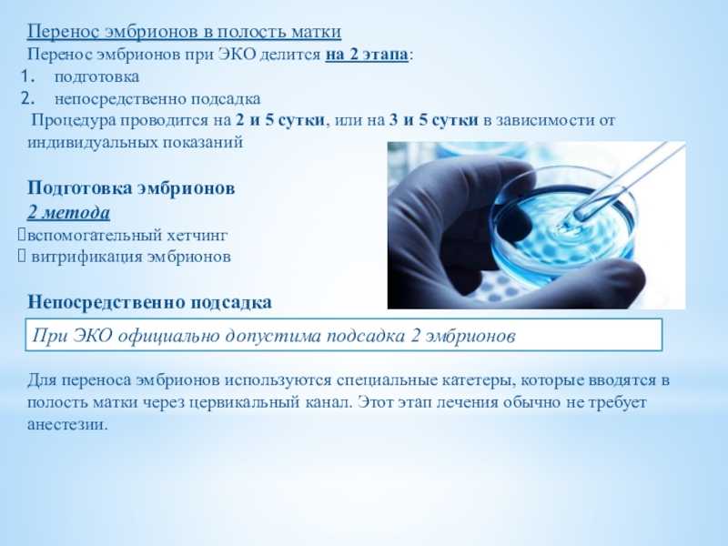 Хетчинг: что необходимо знать? — эко клиники россии и зарубежа