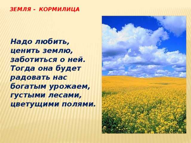 Пословицы про землю | пословицы для детей