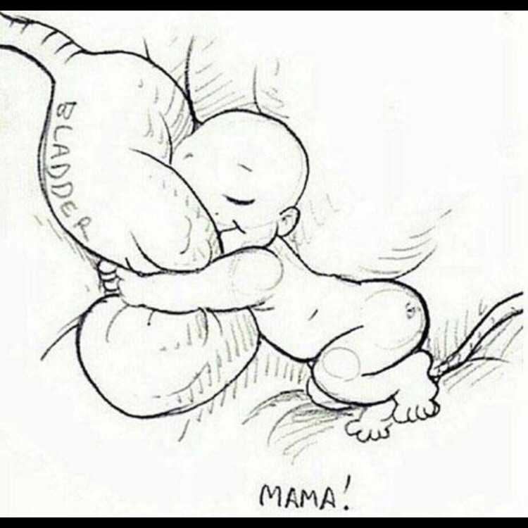 Малыш обнимает мочевой пузырь. Беременность карикатура. Младенец обнимает мочевой пузырь. Ребенок в животе обнимает мочевой пузырь.