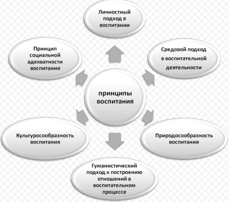 Подходы в обучении и воспитании. Принципы воспитания схема. Принципы воспитания в педагогике схема. Процесс социального воспитания схема. Принципы воспитательной деятельности.