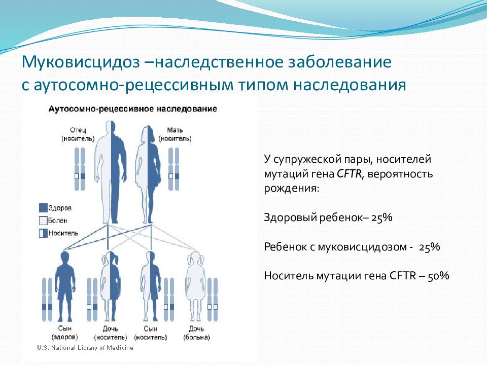 Оптимальный возраст постановки диагноза муковисцидоз. Генетическое заболевание муковисцидоз. Муковисцидоз фенотипическая характеристика. Муковисцидоз Тип наследования. Основные проявления болезни муковисцидоз.