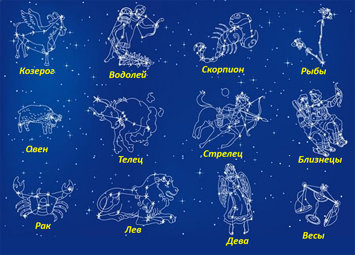 2 февраля знак зодиака по гороскопу. Созвездия знаков зодиака. Зодиакальные созвездия и их названия. Созвездие зназнаков зодиака. Изображения созвездий знаков зодиака.