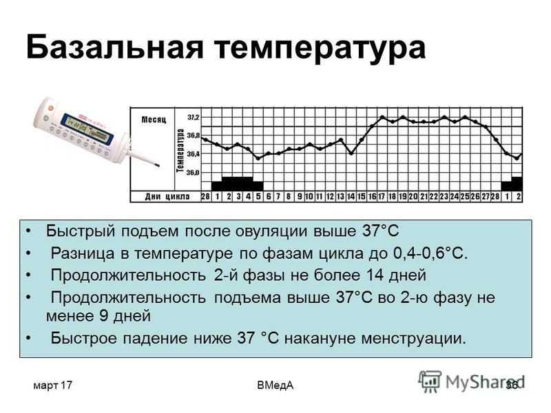 Графики базальной температуры с примерами и расшифровкой