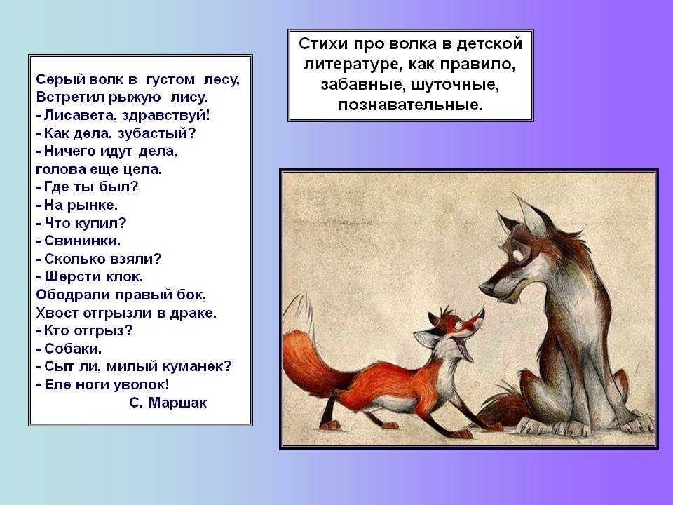 Загадки, пословицы и стихи о волке
